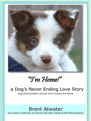 cover image of I'm Home! a Dog's Never Ending Love Story- Animal Life After Death -Dog Heaven, Dog's purpose for reincarnation, animal soul contracts